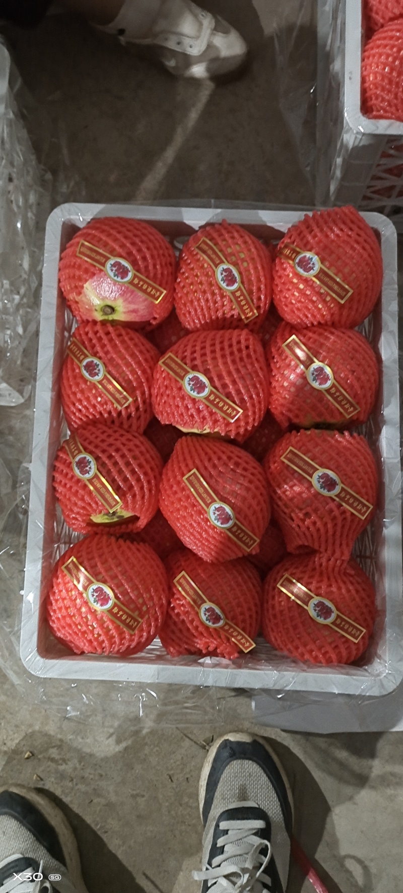 会理软籽石榴