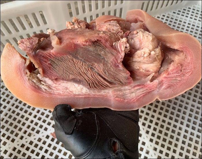 西门塔尔牛肉的切割部位图示