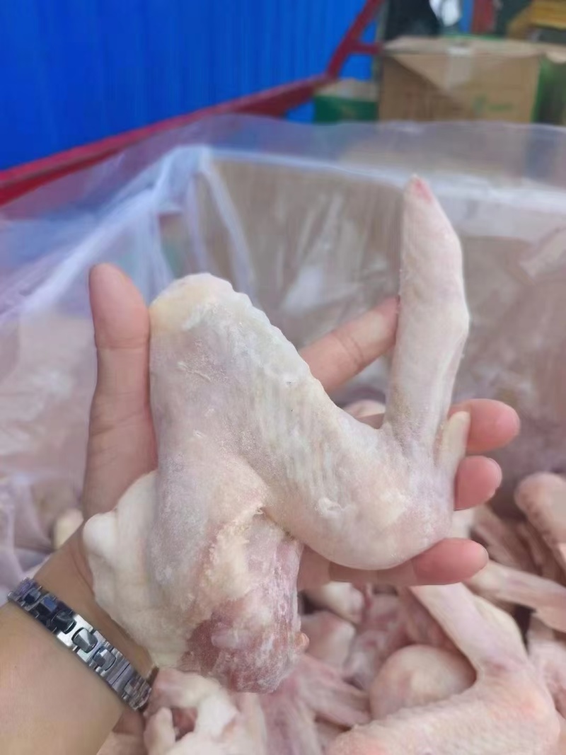 鸭翅冻货三节鸭翅批发地摊10元模式跑江湖凉菜店卤鸭翅