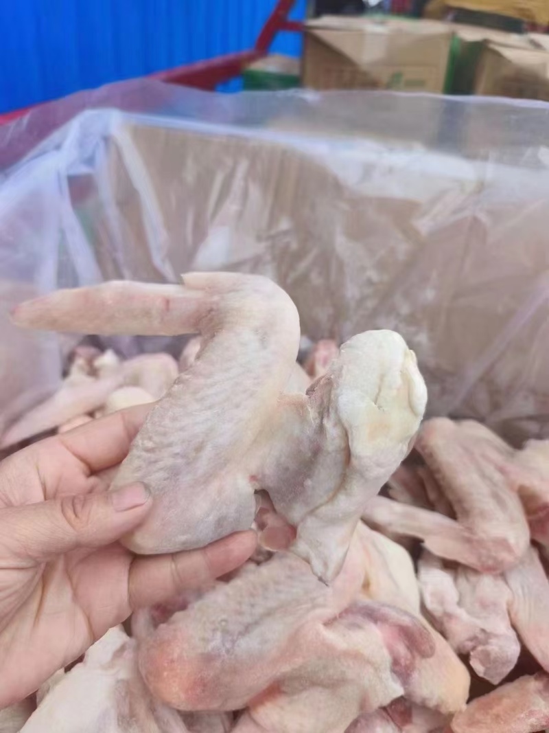 鸭翅冻货三节鸭翅批发地摊10元模式跑江湖凉菜店卤鸭翅