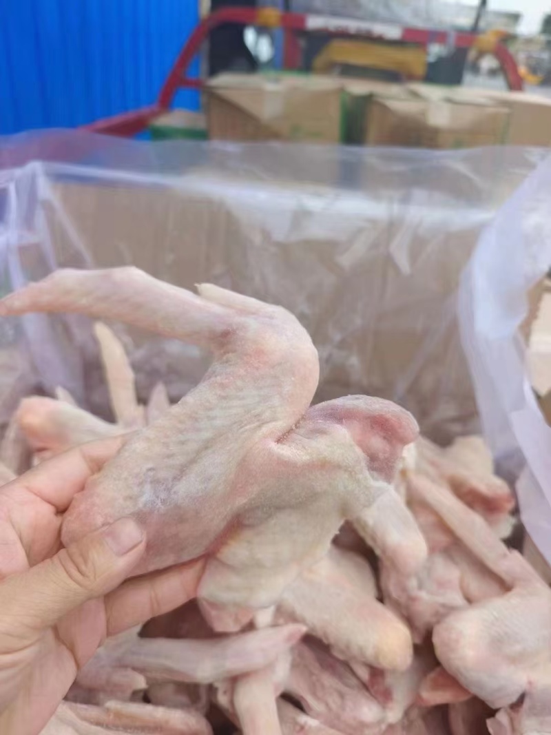 鸭翅冻货三节鸭翅批发地摊10元模式跑江湖凉菜店卤鸭翅