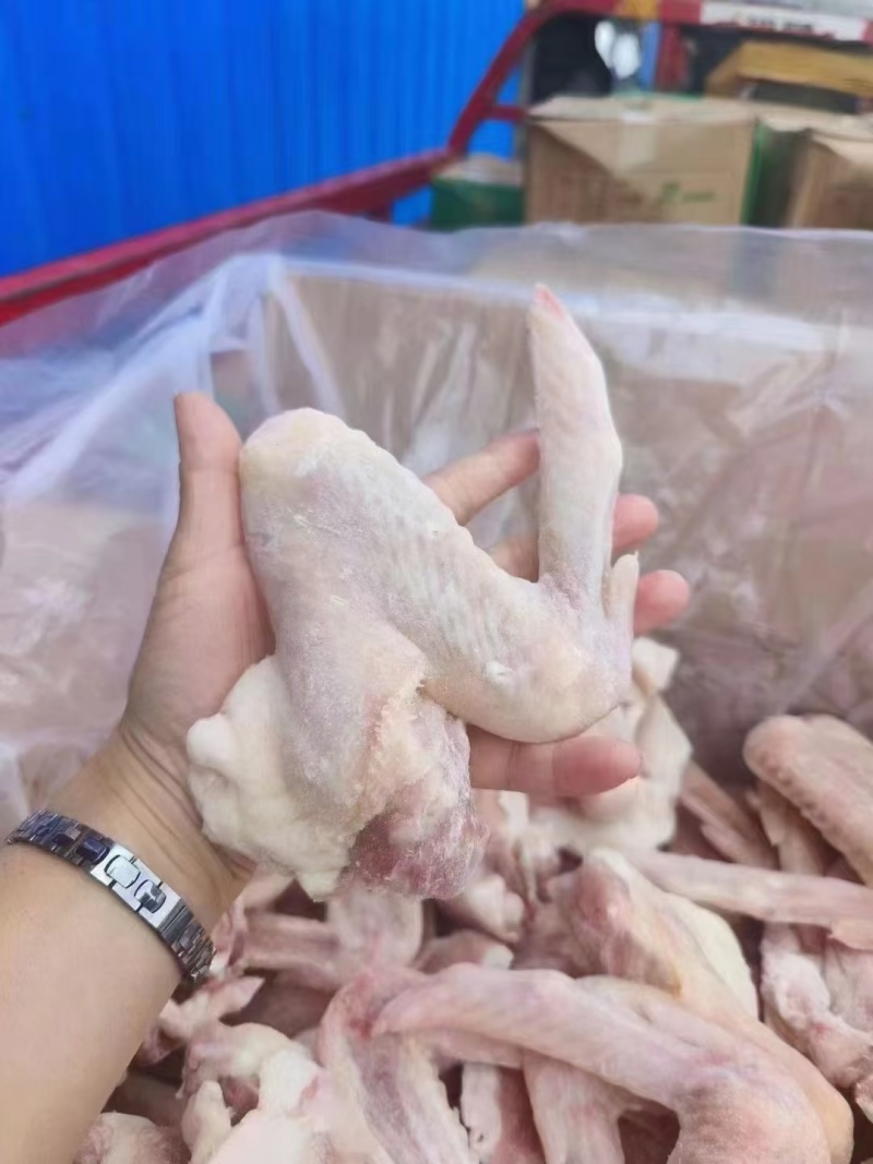 鸭翅冻货三节鸭翅批发地摊10元模式跑江湖凉菜店卤鸭翅