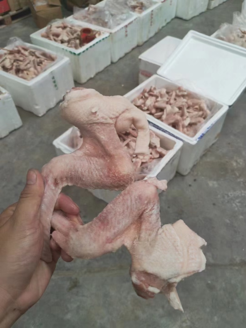 鸭翅冻货三节鸭翅批发地摊10元模式跑江湖凉菜店卤鸭翅