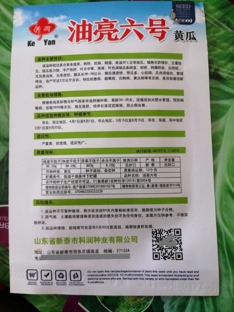 黄瓜种子，耐湿耐热抗病，抗高温，35度正常结瓜。