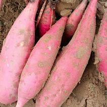 饶阳特产西瓜红红薯大量有货，什么规格都有，甜面