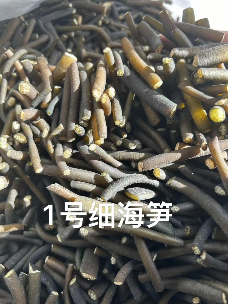 【优选】海笋一手资源产地直发量大从优