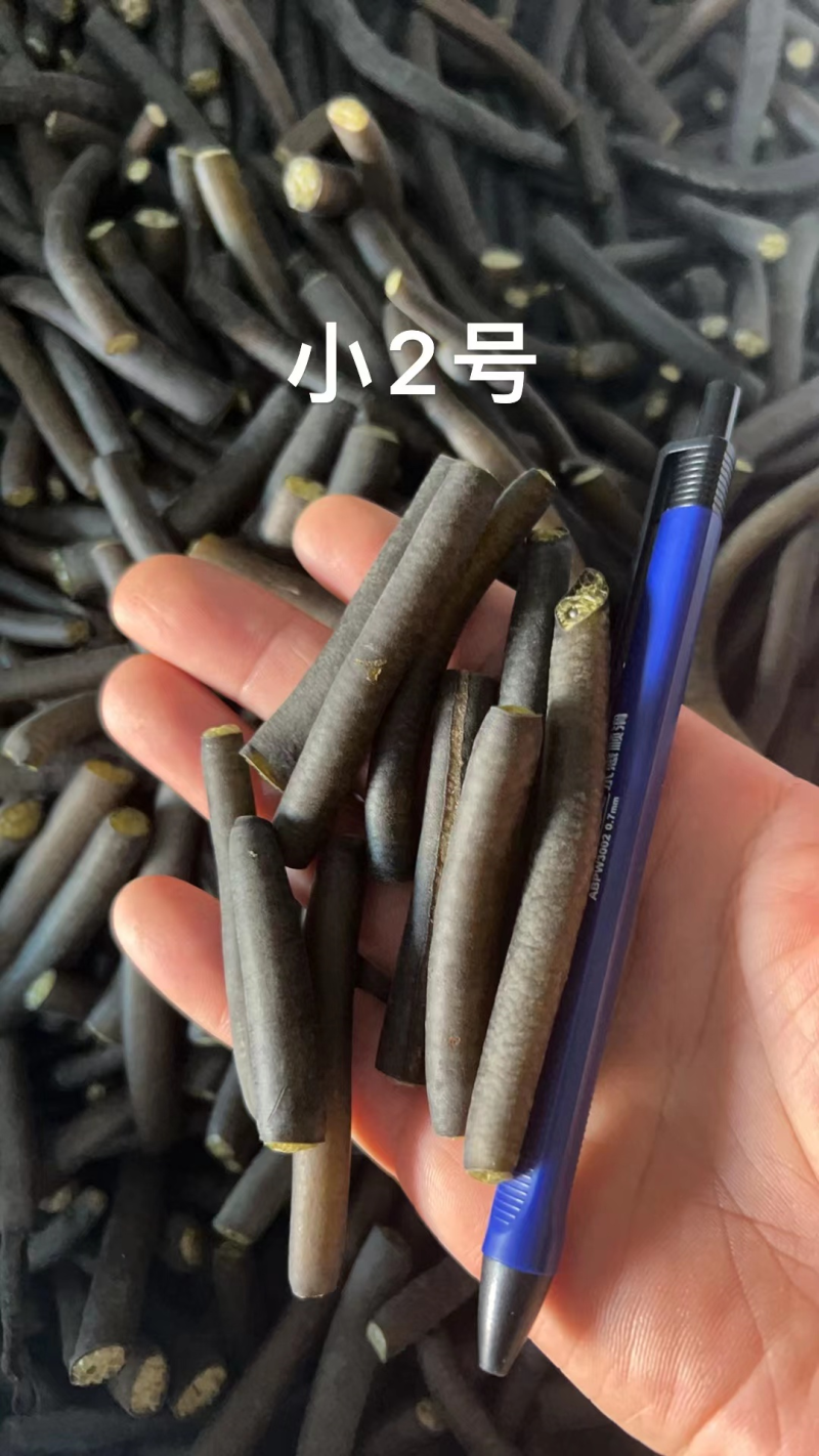 【优选】海笋一手资源产地直发量大从优