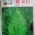 早熟露地越冬春甘篮叶色深绿蜡粉中等叶缘微翻肉质脆嫩味甘甜