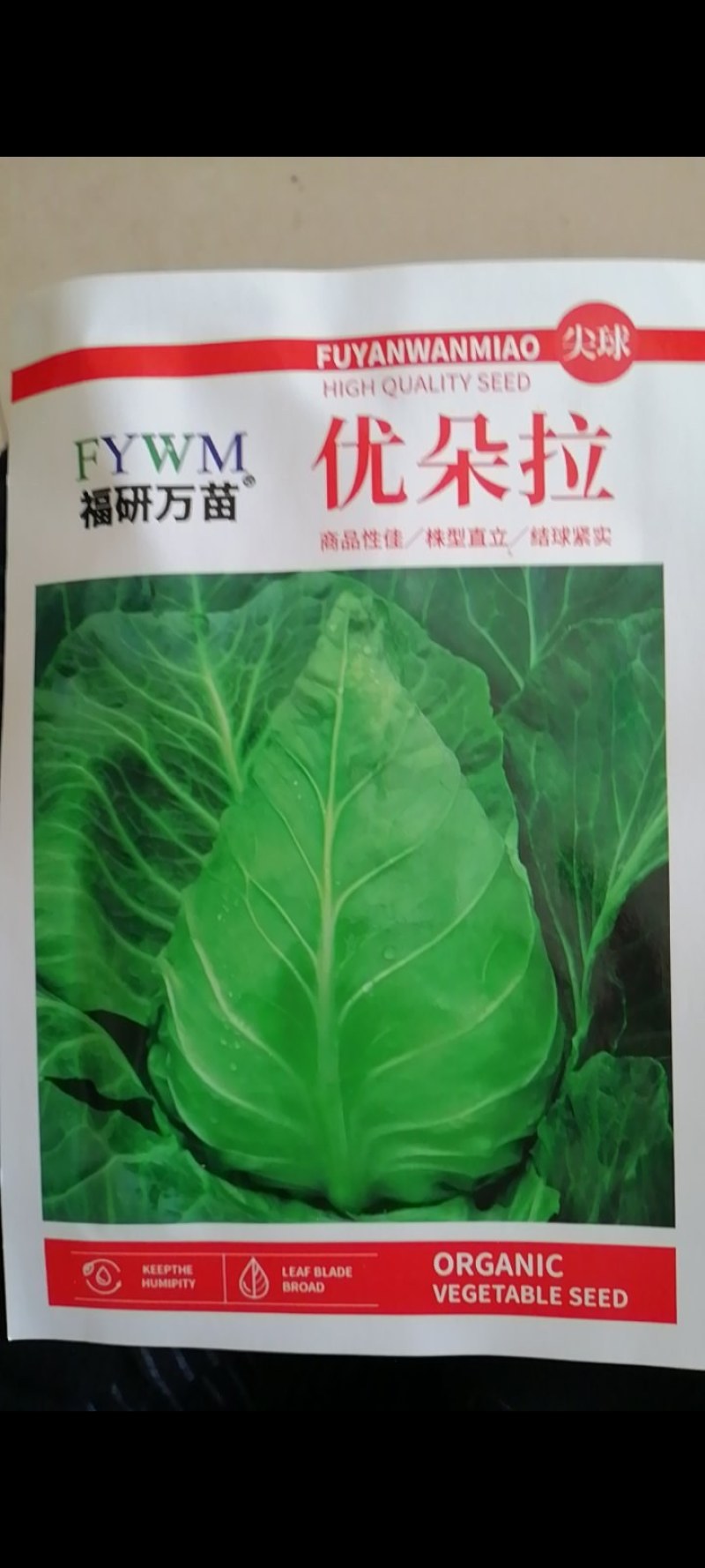早熟露地越冬春甘篮叶色深绿蜡粉中等叶缘微翻肉质脆嫩味甘甜