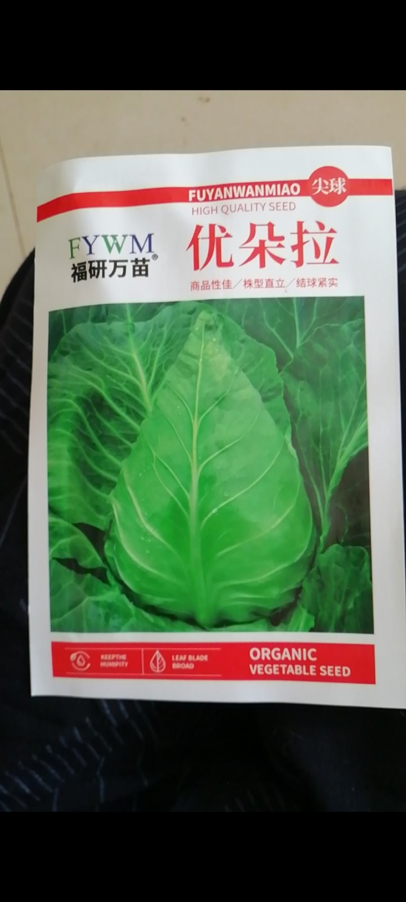 早熟露地越冬春甘篮叶色深绿蜡粉中等叶缘微翻肉质脆嫩味甘甜