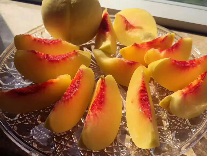 黄桃切面营养剖面示意图