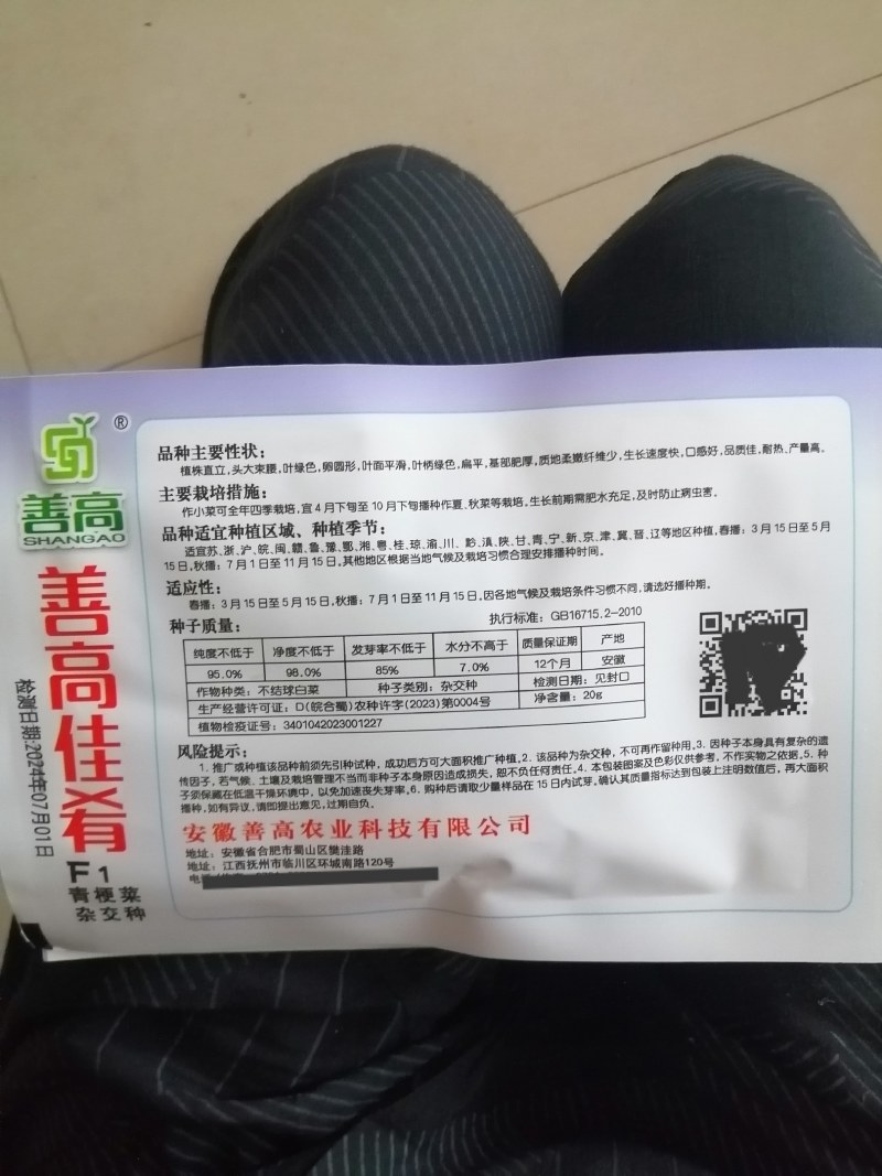 正品绿油亮杂交青梗菜种子，耐热耐雨青菜