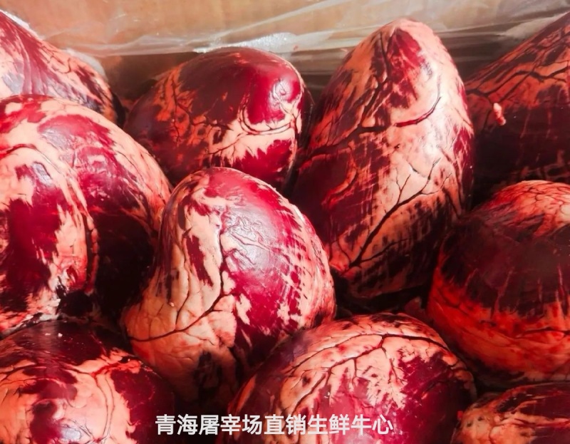 牛心生鲜牛心青海发货青海屠宰场直销生鲜牛心