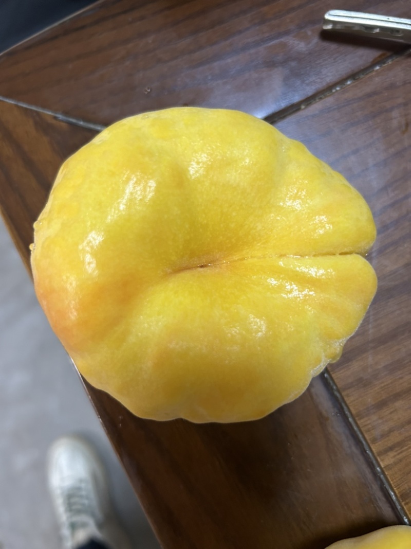 毛潘11