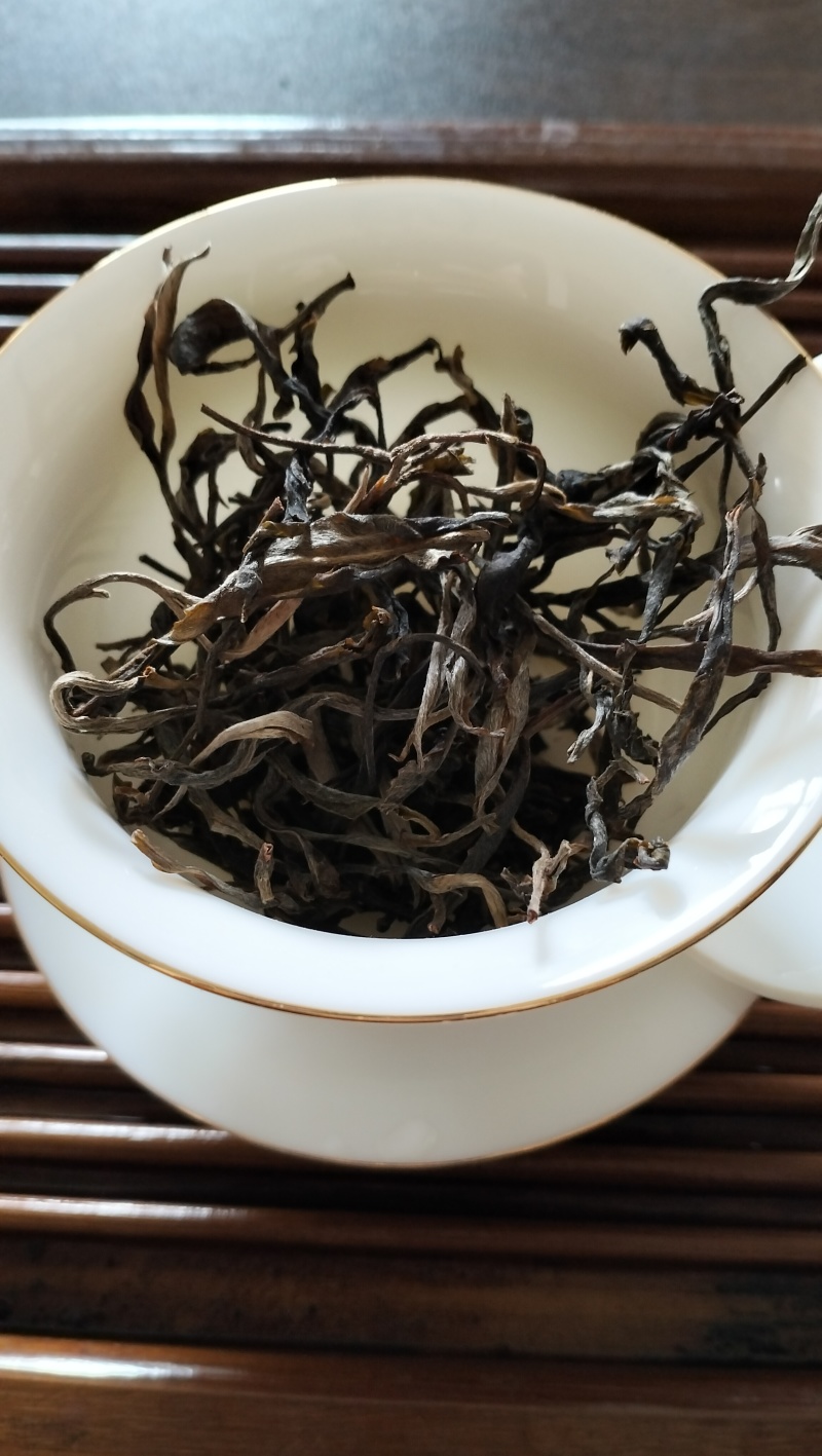 云南普洱茶，202年易武，七村八寨之易比贡茶村，古树春茶