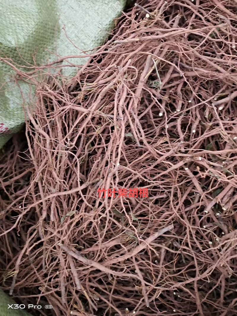 竹叶柴胡根