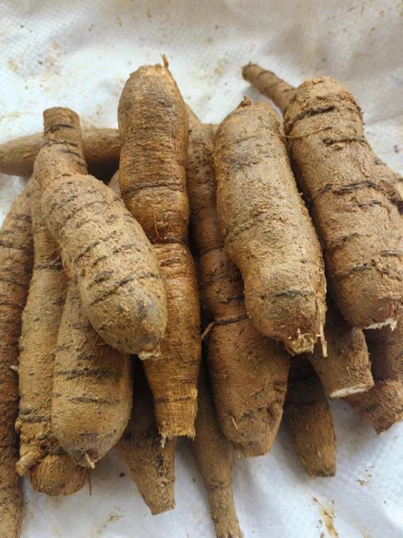 精品牛大力圆牛工厂常年供货大圆牛中圆牛小圆牛小小圆牛