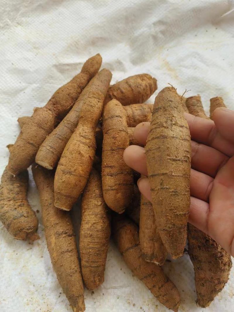 精品牛大力圆牛工厂常年供货大圆牛中圆牛小圆牛小小圆牛