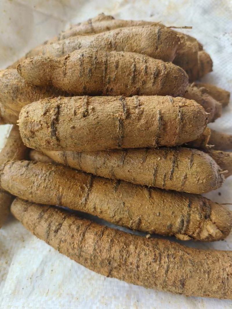精品牛大力圆牛工厂常年供货大圆牛中圆牛小圆牛小小圆牛