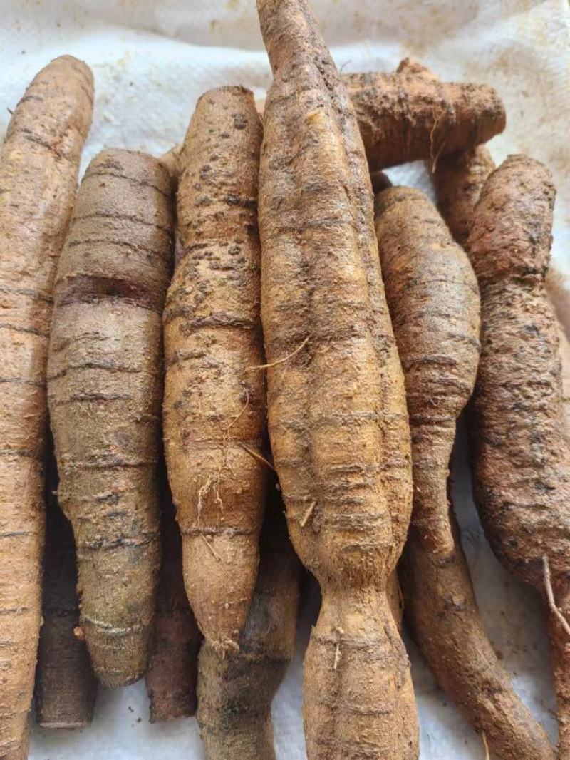 精品牛大力圆牛工厂常年供货大圆牛中圆牛小圆牛小小圆牛
