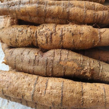 精品牛大力圆牛工厂常年供货大圆牛中圆牛小圆牛小小圆牛