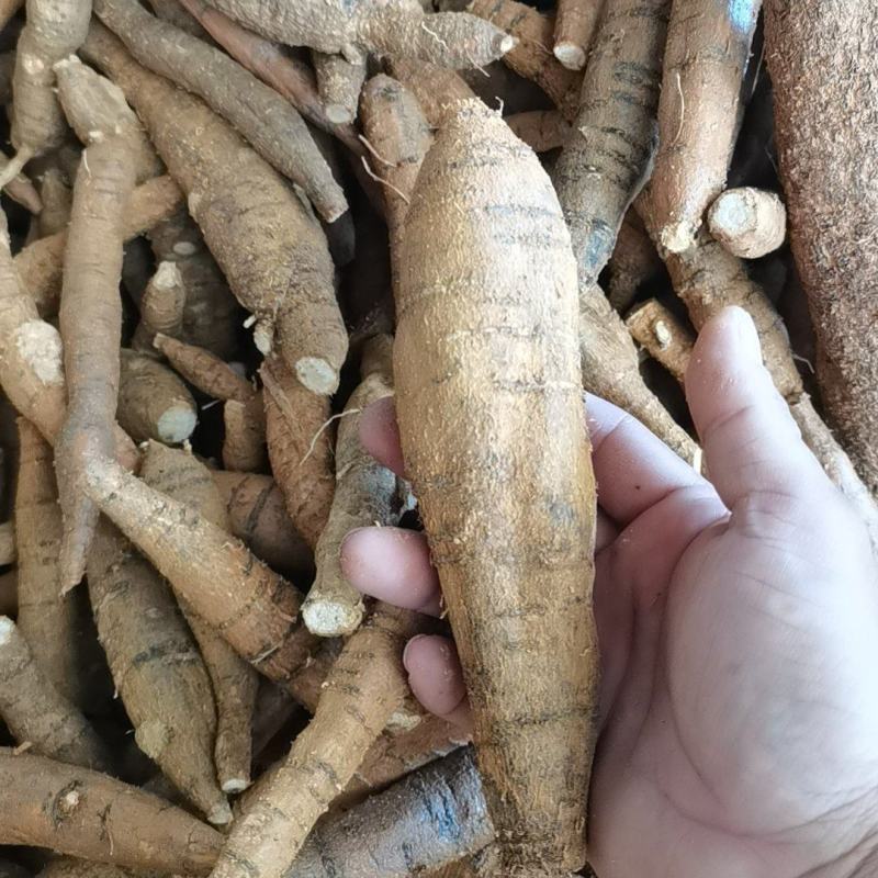 精品牛大力圆牛工厂常年供货大圆牛中圆牛小圆牛小小圆牛