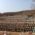随州花菇5厘米以上产地基地直发餐饮商用家用食材展品礼品