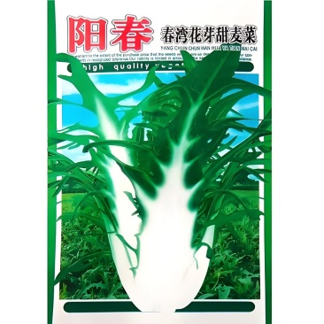 正宗博白白梗甜脆甜麦菜种子
