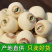 湖南正宗特级湘莲子带芯白莲子大货批发红莲子去心
