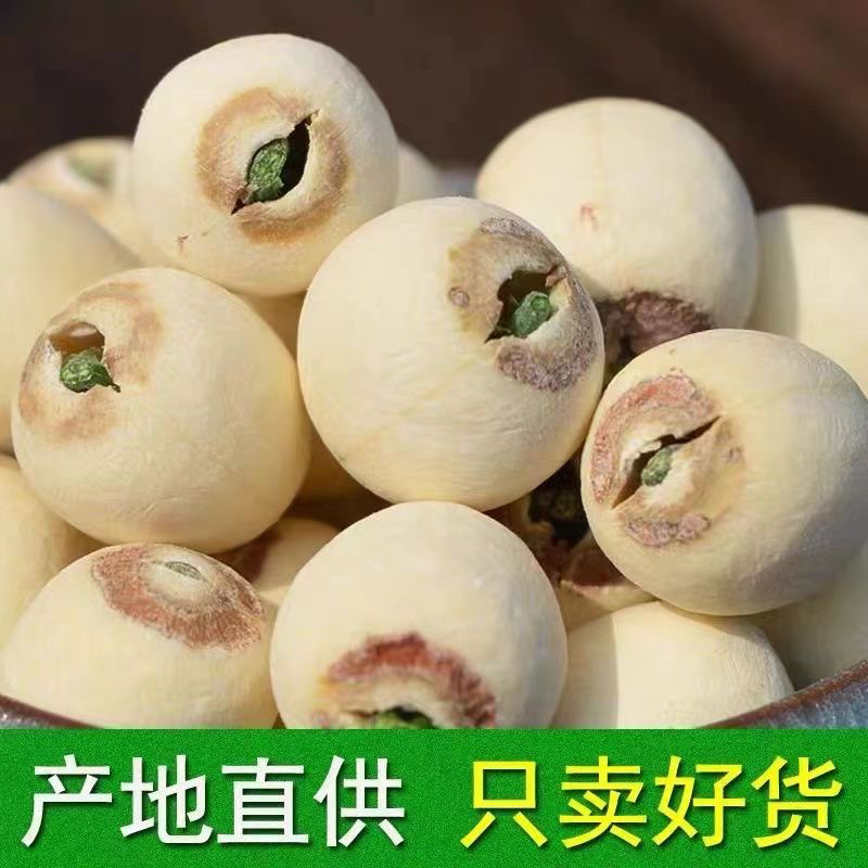 湖南正宗特级湘莲子带芯白莲子大货批发红莲子去心