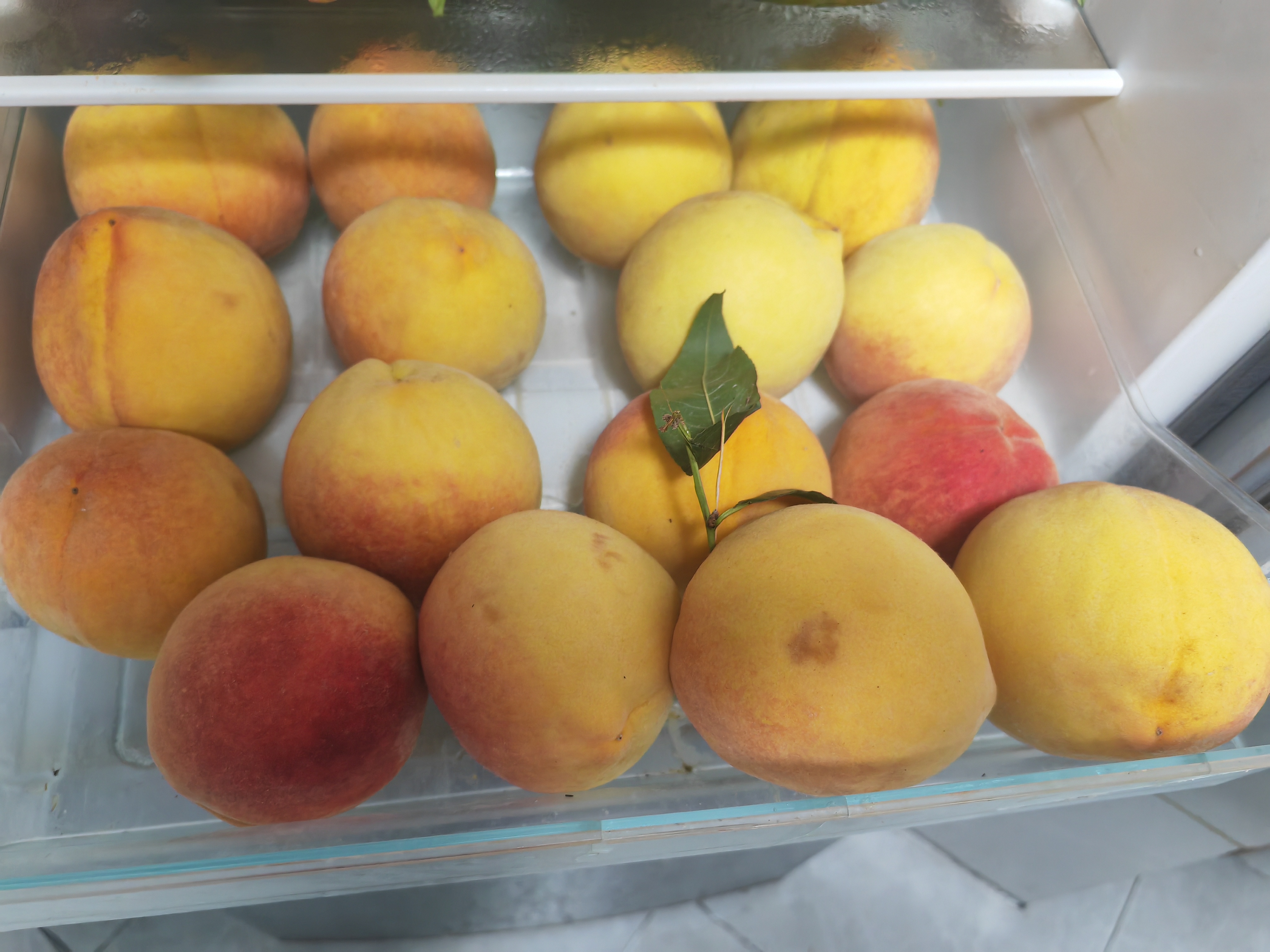 黄油桃被放入冰箱冷藏室,旁边标注“0~4℃”字样,背景为现代厨房环境 黄油桃冷藏示意图