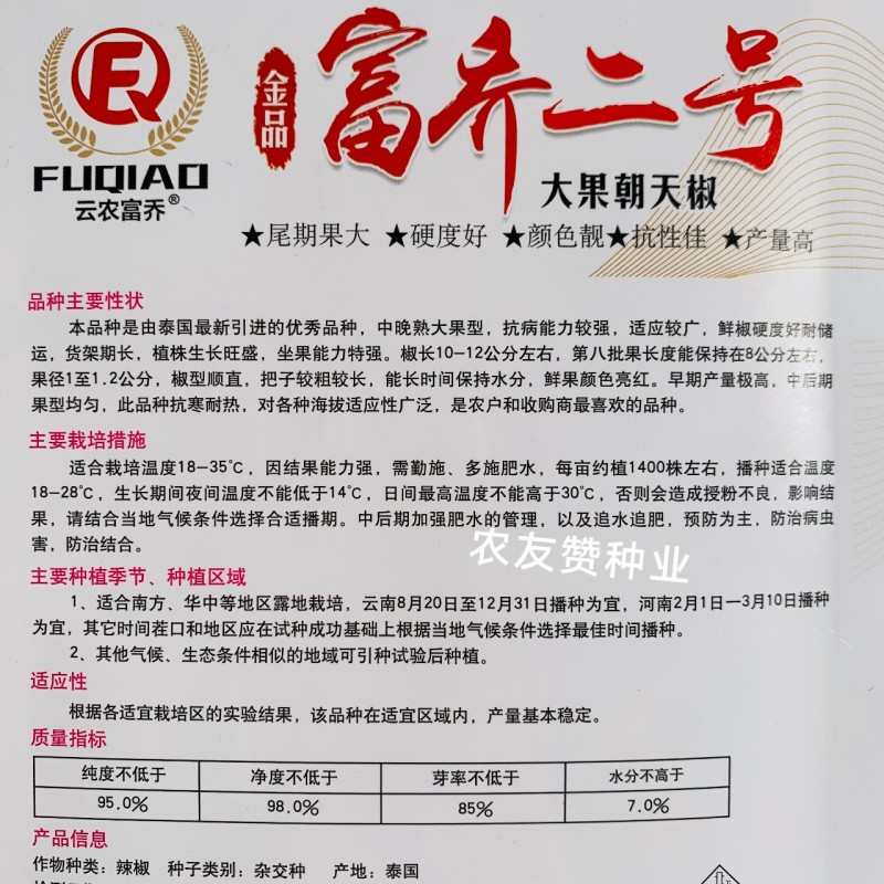 新品种富乔二号朝天椒种子青红两用硬度好尾果大泰国朝天椒种