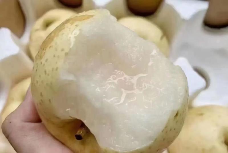 陕西蒲城套袋皇冠梨，脆甜多汁，皮薄肉厚量大优惠代发