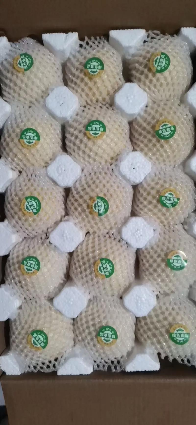 陕西蒲城套袋皇冠梨，脆甜多汁，皮薄肉厚量大优惠代发