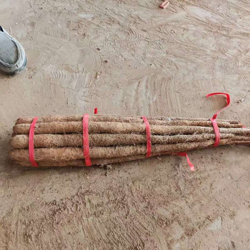 山东单县，麻山药电商货，品质保证欢迎采购，诚信为本！