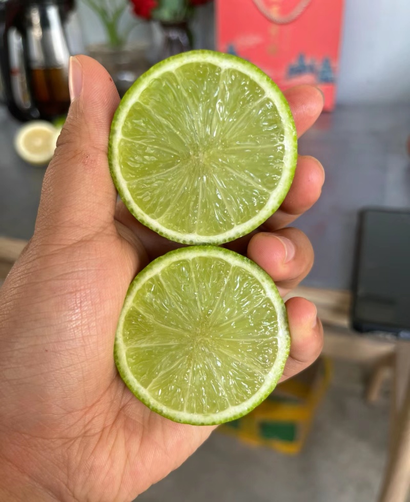 香水柠檬《自产自销》广西柠檬新鲜现摘供奶茶店~水果店