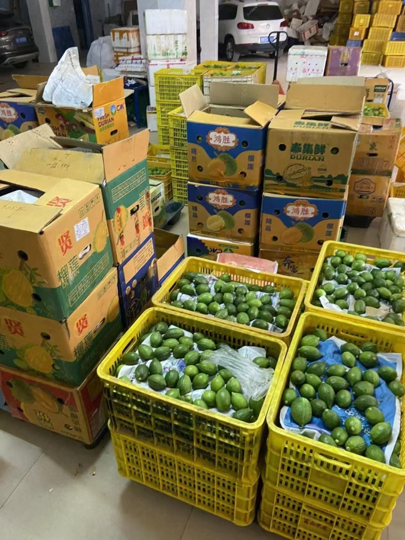 香水柠檬《自产自销》广西柠檬新鲜现摘供奶茶店~水果店
