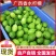 广西柠檬香水柠檬无籽柠檬现摘现发自产自销发全国