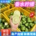 柠檬广西香水柠檬青色无籽柠檬自产自销现摘现发
