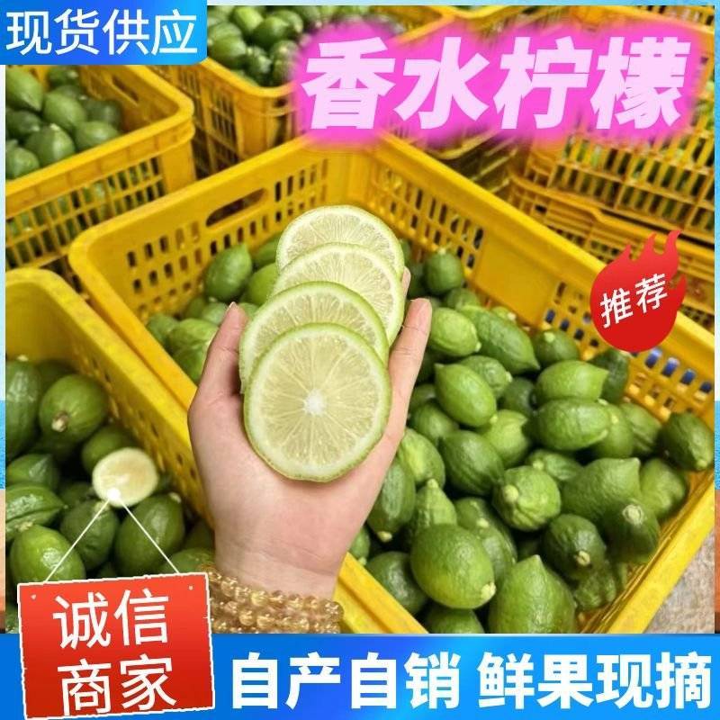柠檬广西香水柠檬青色无籽柠檬自产自销现摘现发