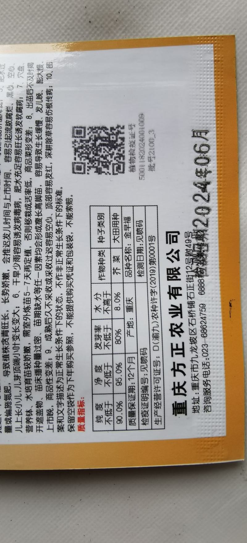 儿菜种子金早福方正早熟儿菜大儿型提早上市效益高