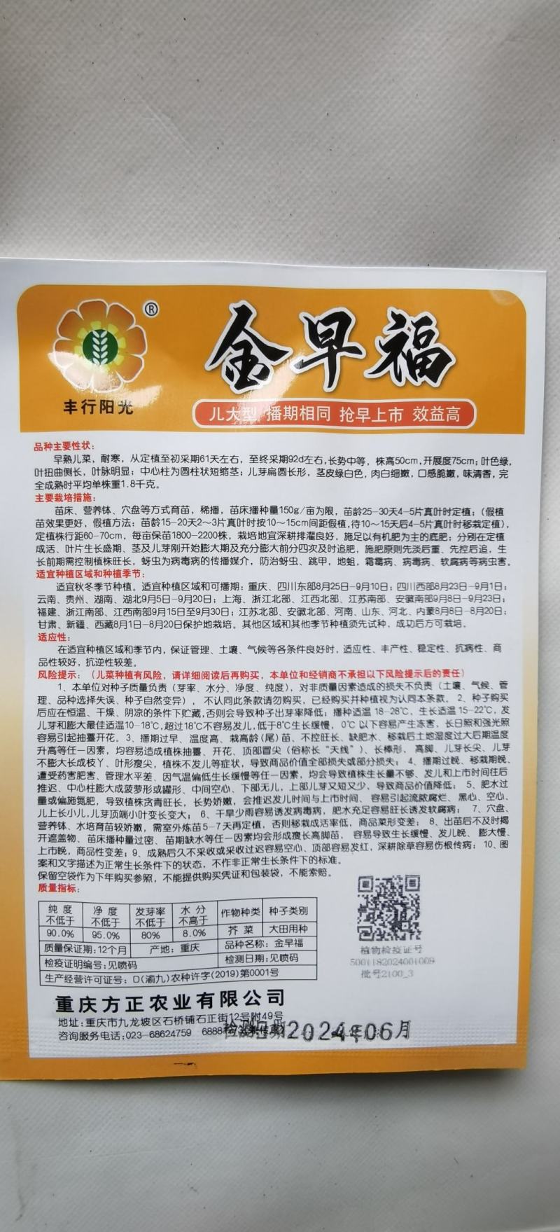 儿菜种子金早福方正早熟儿菜大儿型提早上市效益高