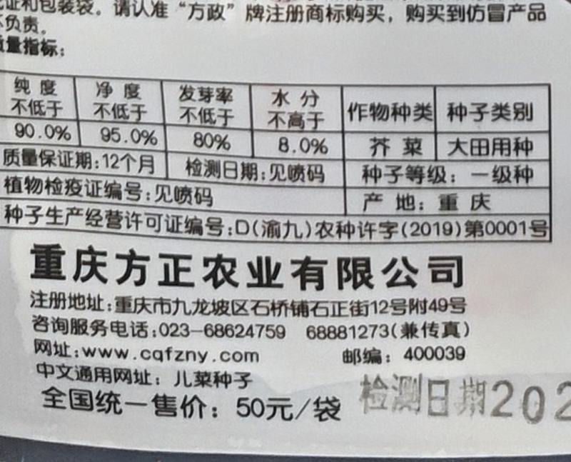 儿菜种子正早一号方正出品特早熟儿菜杂交品种儿大高产