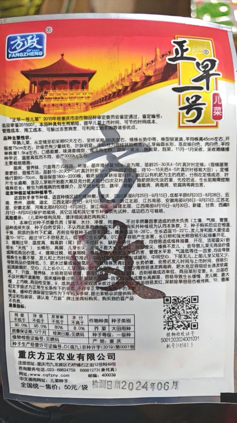 儿菜种子正早一号方正出品特早熟儿菜杂交品种儿大高产