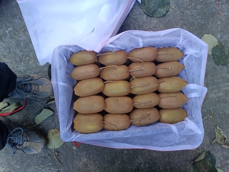 产地直发一手货源，市场电商团购
