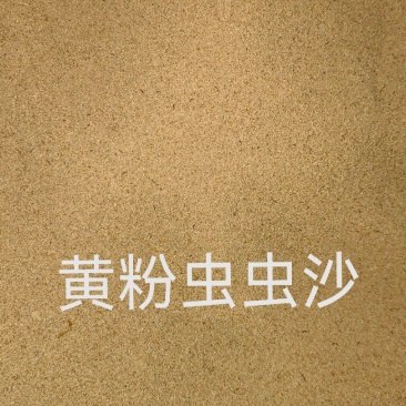 黄粉虫沙，量大现货厂家直销