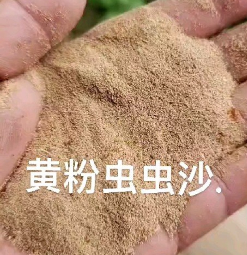 黄粉虫沙，量大现货厂家直销