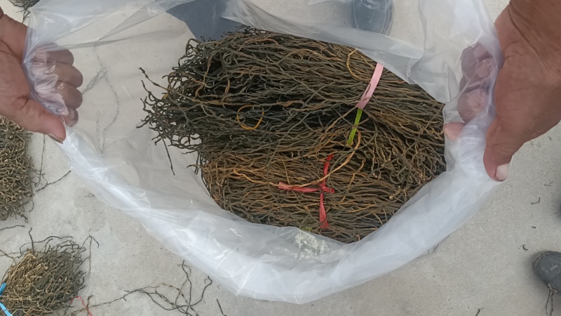 精品自然干，农家自产自销，高中低档都有