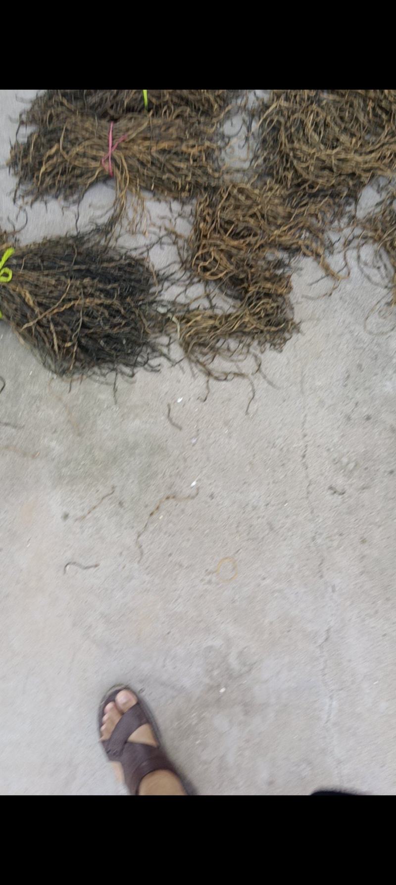 精品自然干，农家自产自销，高中低档都有