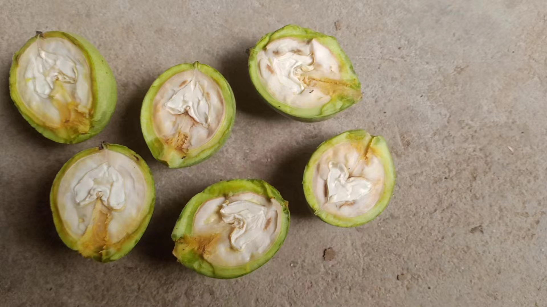 青皮核桃切面营养展示图